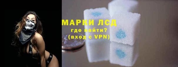 прущие крисы Новодвинск