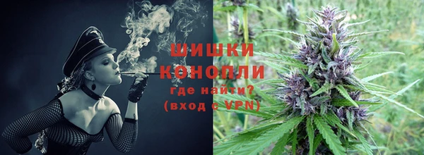 прущие крисы Новодвинск