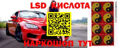 прущие крисы Волгодонск