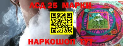амф Можга