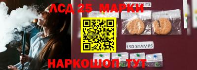 амф Можга