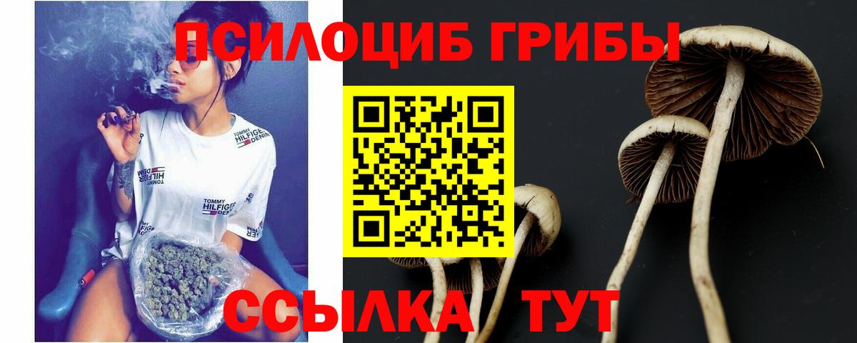 Галлюциногенные грибы MAGIC MUSHROOMS  Галлюциногенные грибы мицелий  Усть-Лабинск 